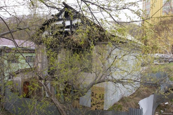 krasincev05.jpg