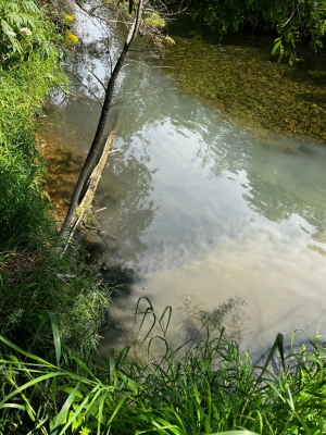 7c7ab7b4d1475cd8a04cb930962379ce.jpeg