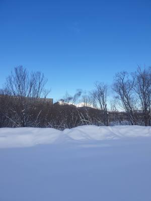 20230105_140145.jpg