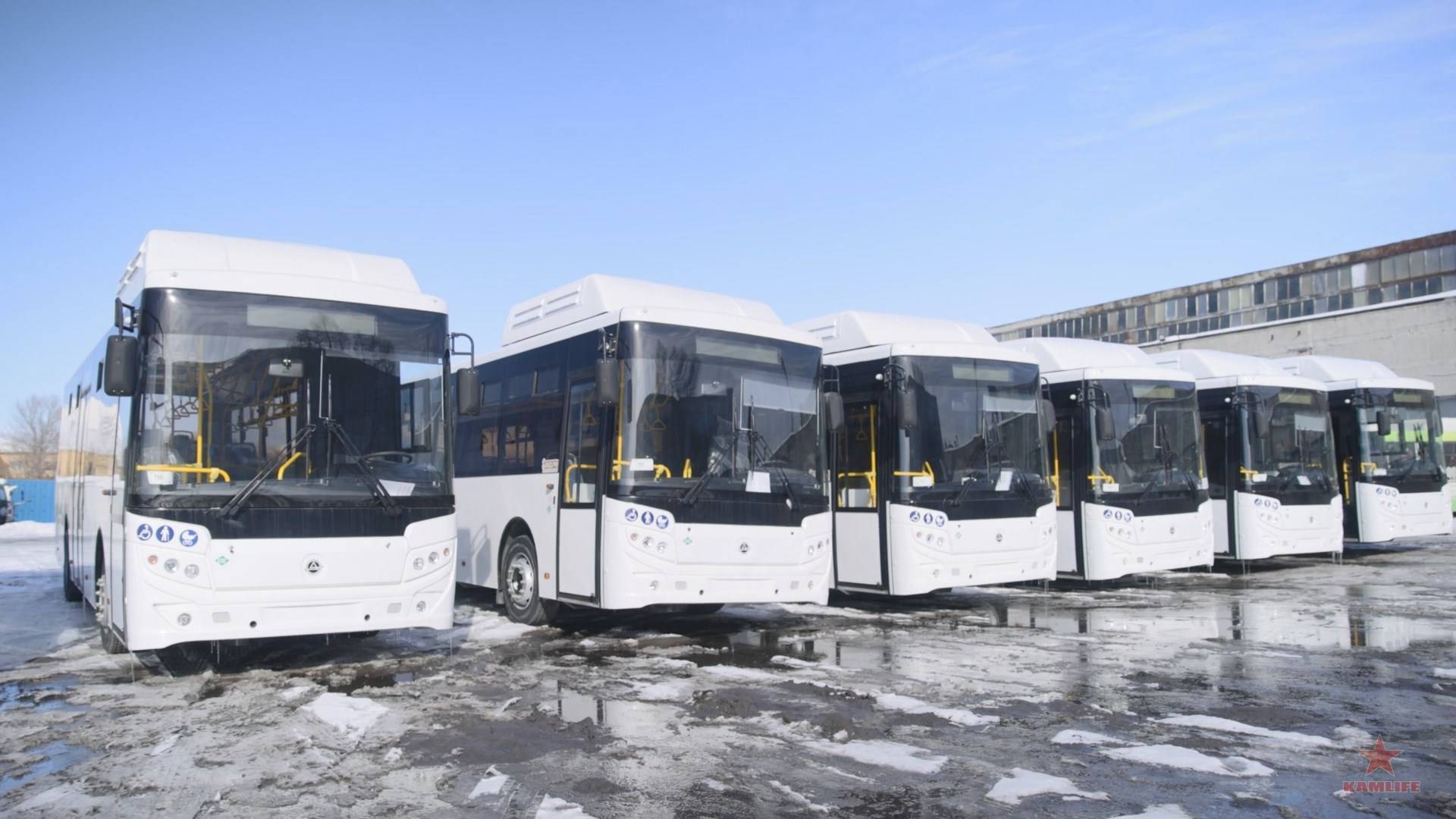new-buses-march2024-01.jpg.85a3b63d7a9a0c2861f304ad5ef4dfef.jpg