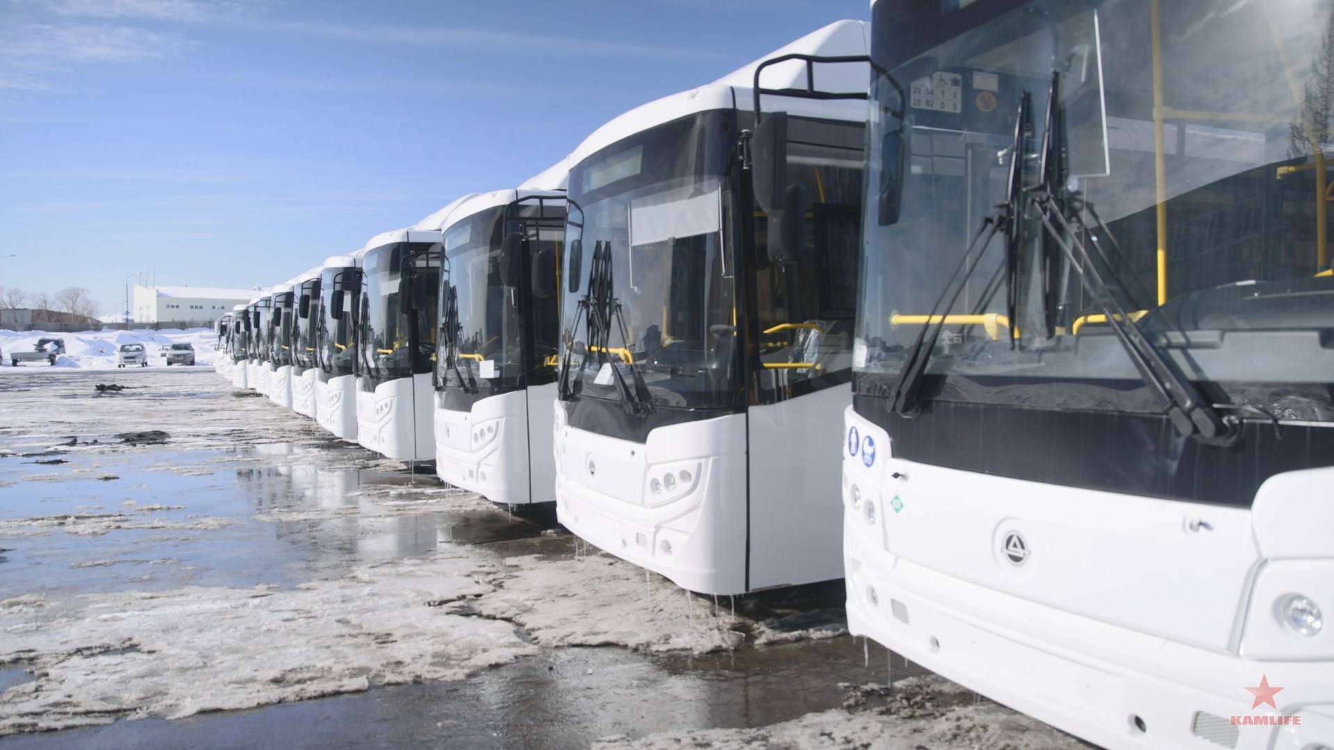 new-buses-march2024-03.jpg.53fdfc26218a9ec12740e201638873f7.jpg