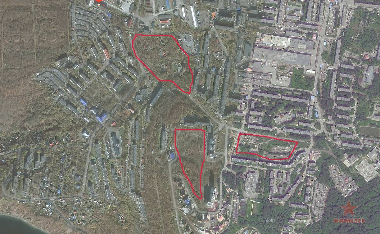 mohovaya-karbisheva.jpg.34f40ee8f9fcb6caf2f25dd3cdee1ae8.jpg