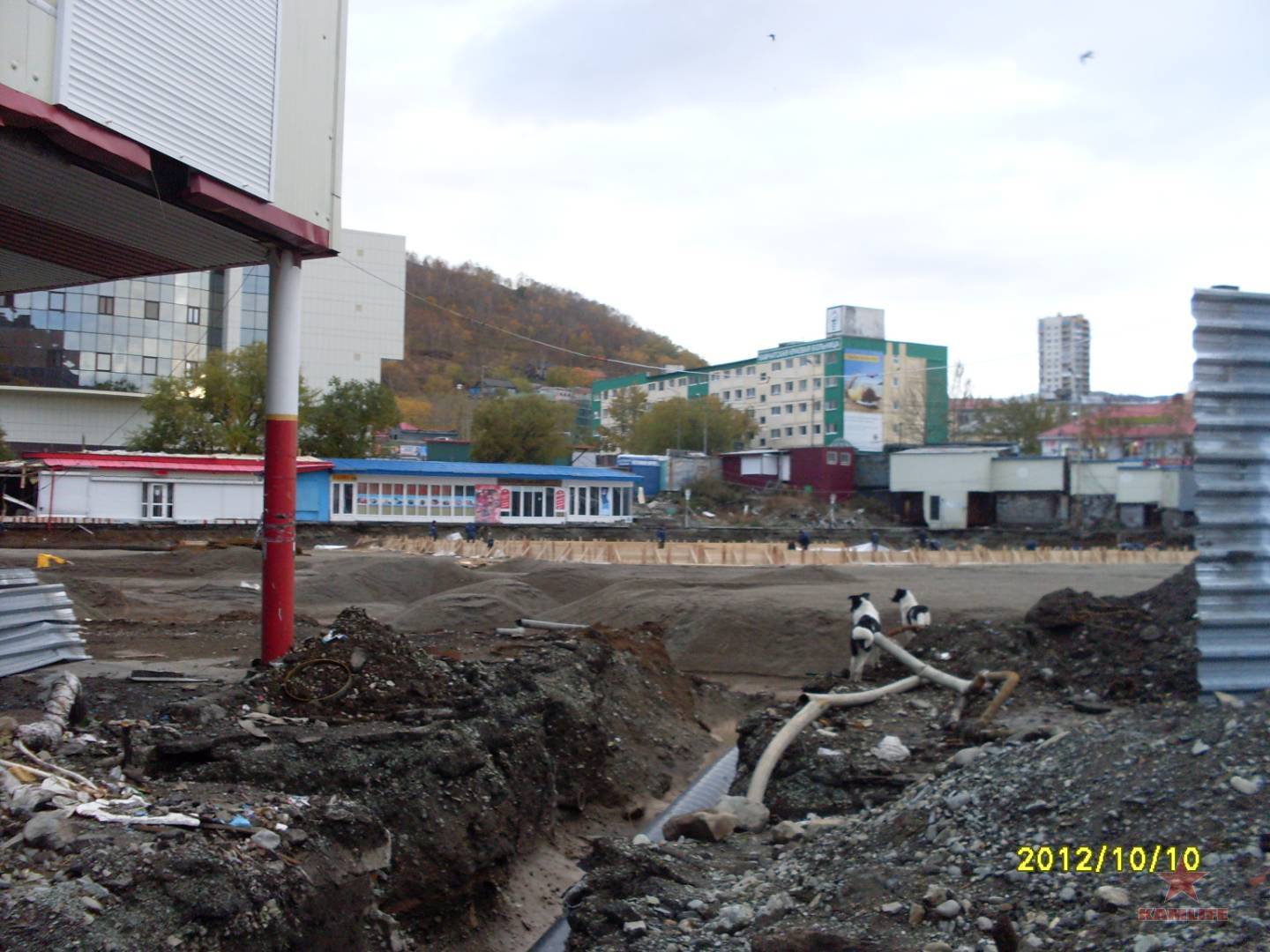 SDC10152.JPG