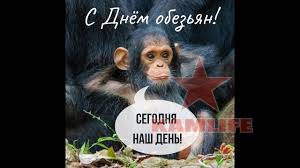 День обезьян 14 декабря