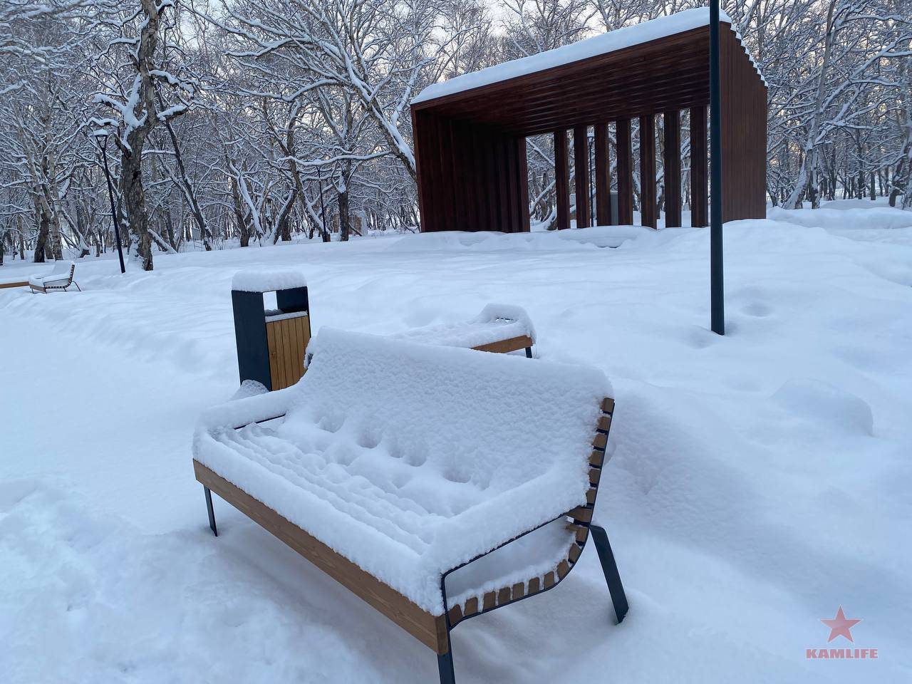 avach-park03.jpg.1b123bd9905bb48eb1bd3ffbadea8bc3.jpg