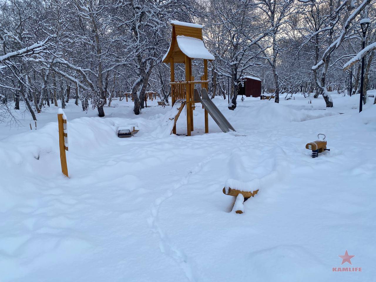 avach-park04.jpg.0143272e2f323283ad862ae3efd8120d.jpg