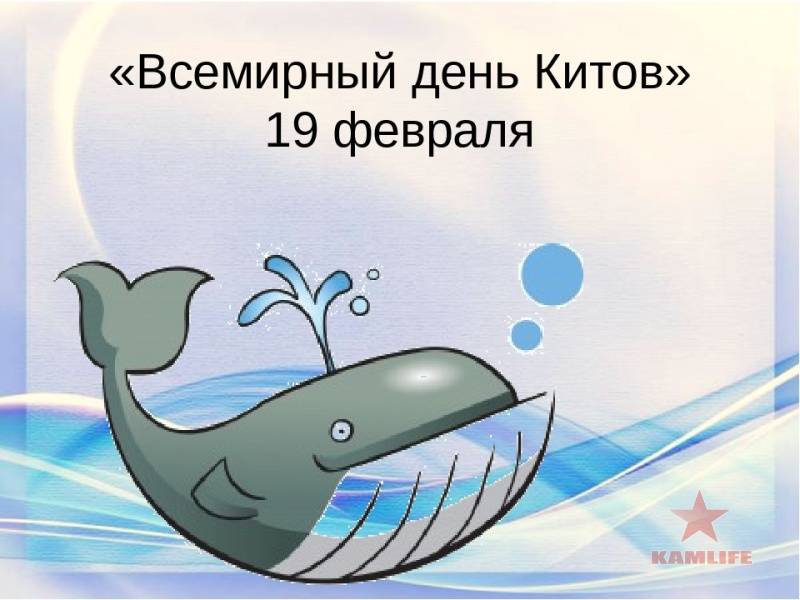 День кита 19 февраля – Всемирный день защиты морских млекопитающих