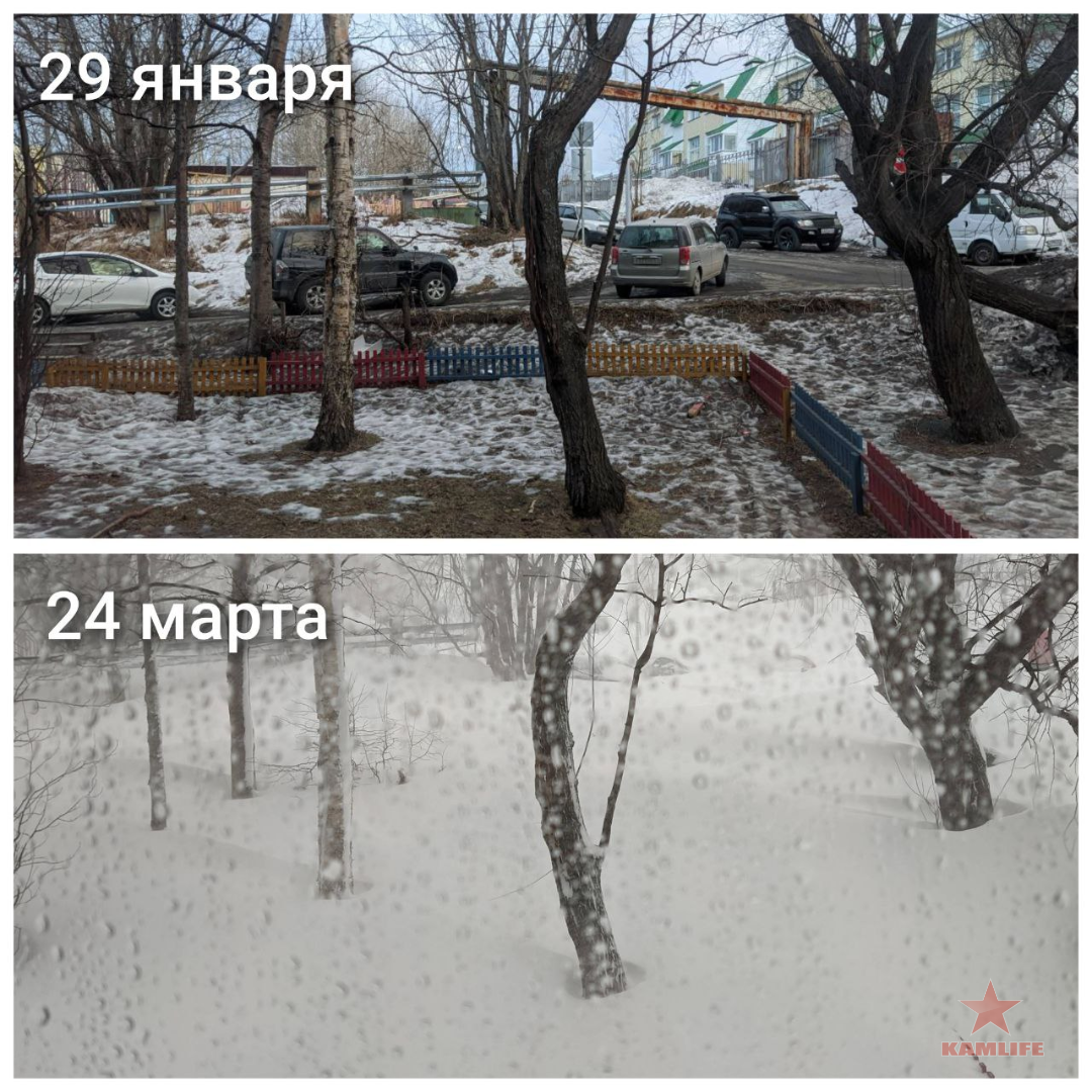 image.png.7bc1f83e859b95de87e6d7de9841631f.png