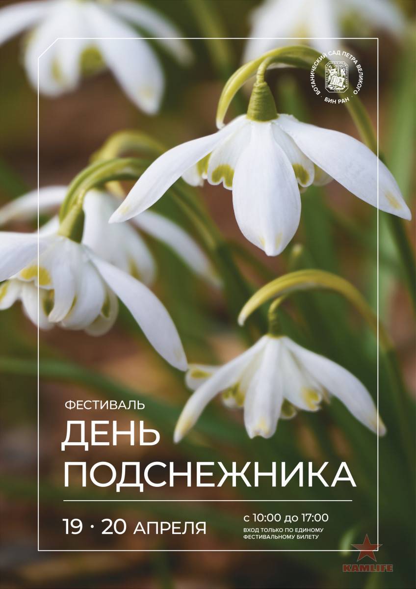День Подснежника.  19 апреля