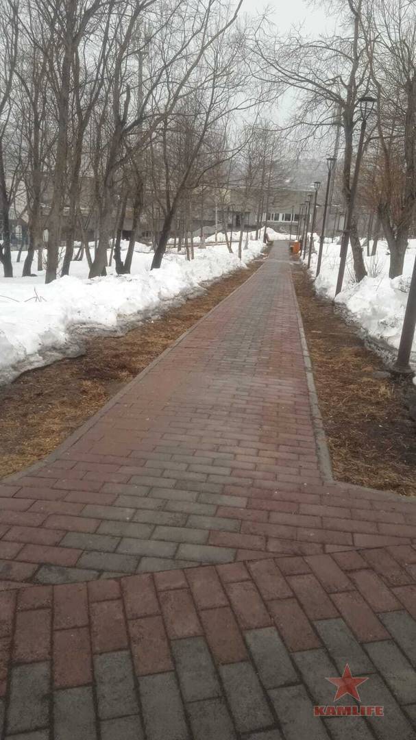 park-zvezdnaya01.jpg.97c7e9b947d4ef2655cc9183097d1a00.jpg