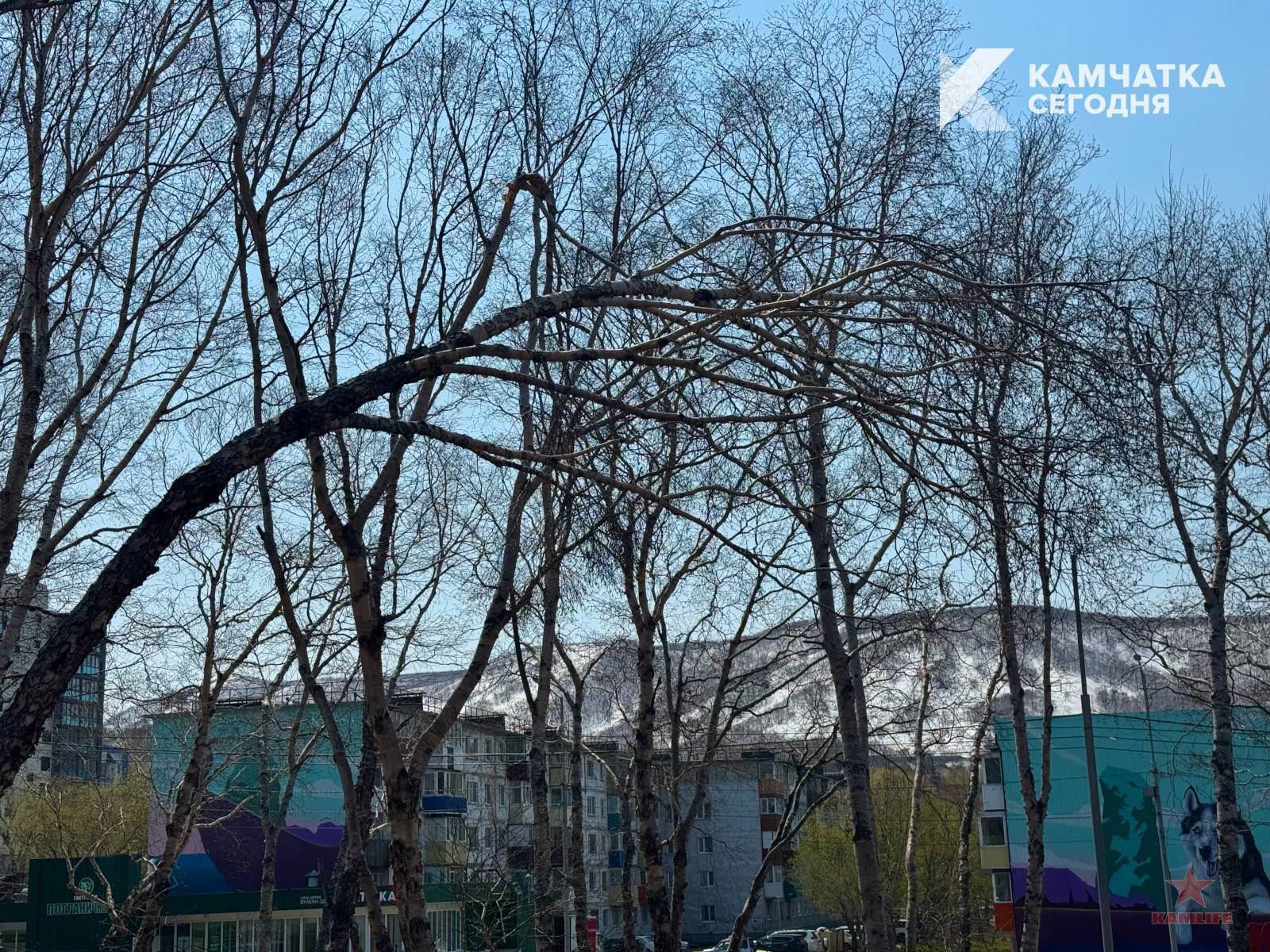 park-pogran02.jpeg.9108e144478e2a324b981b80c6d3017d.jpeg