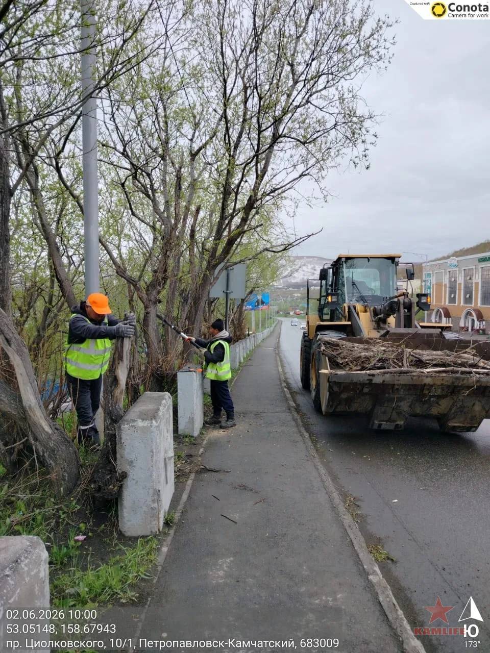 trees-repair01.jpg.5fed91652abf2d303e575acedb86e8ae.jpg