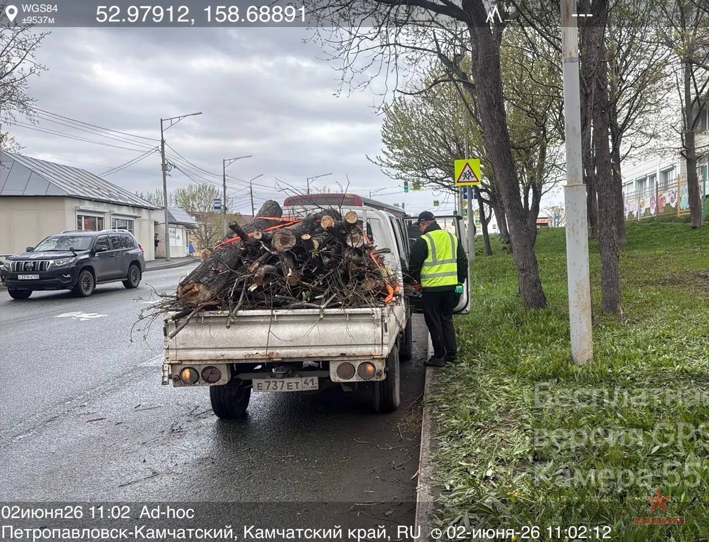 trees-repair03.jpg.76384039e393caa184fa71bb3ba2cd62.jpg