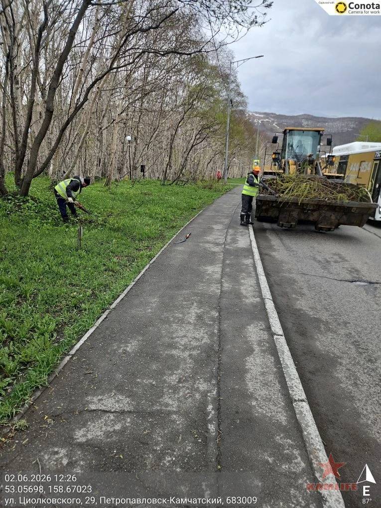 trees-repair04.jpg.0534a32d2f518103e659169051eaafe4.jpg