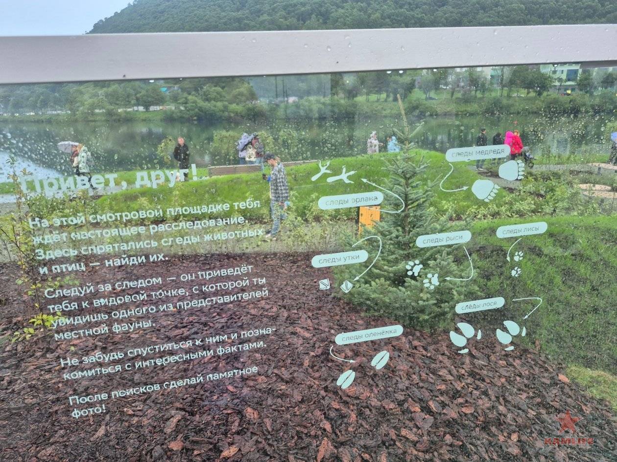 park-ecosystem-kammedia13.jpg.9169c3d0482ab40706c5e59e49d594be.jpg