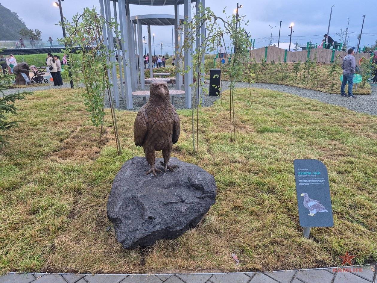 park-ecosystem-kammedia14.jpg.2766d8b04b8d9c69a433f0e4cf3765a7.jpg