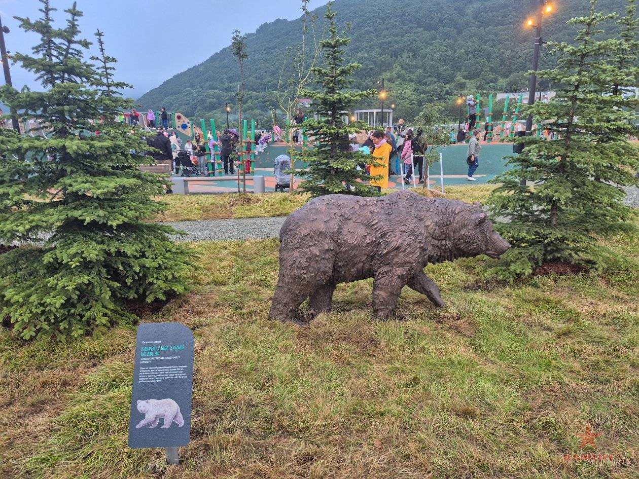 park-ecosystem-kammedia17.jpg.25ae70b11e9f5265e950e040ad2c4022.jpg