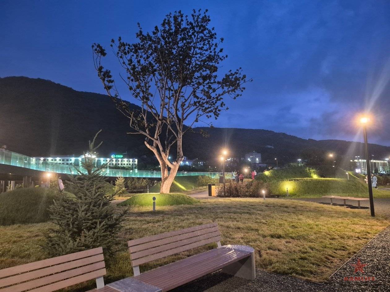 park-ecosystem-kammedia24.jpg.e36d0c3ffddd76c00e82d724efcbac0f.jpg